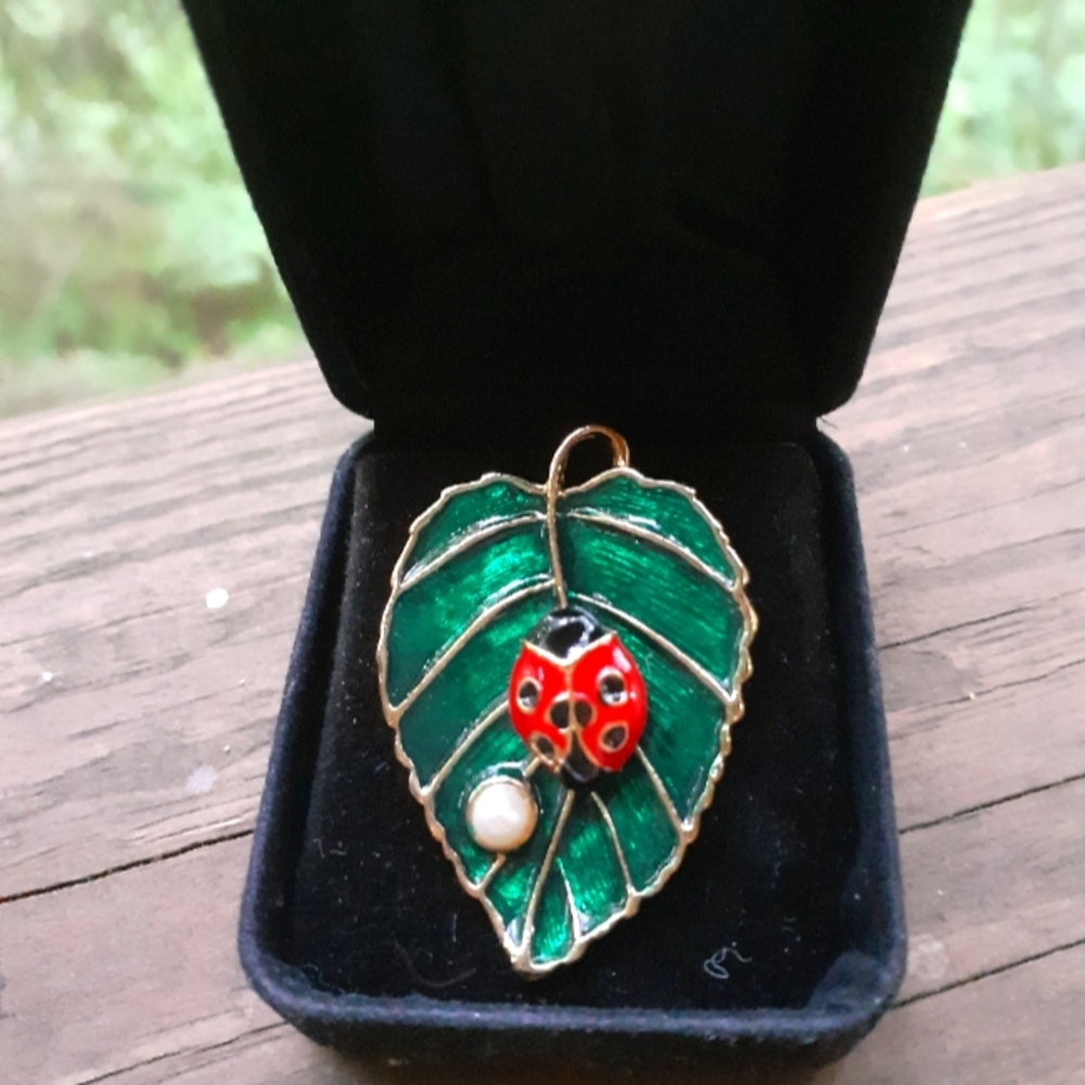 Lucky Lady Bug Brooch